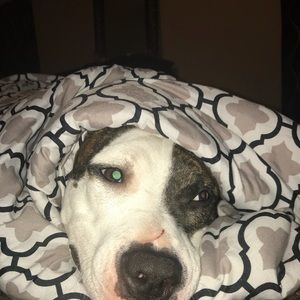 Meet your Posher, Mikayla